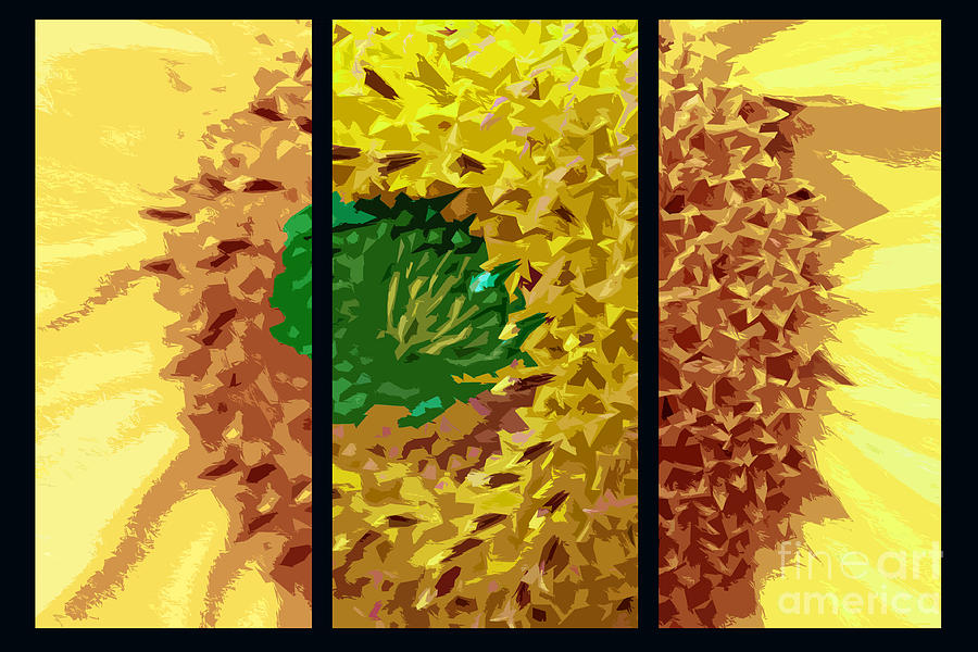 Abstract Sunflower Triptych Photograph by Nina Silver