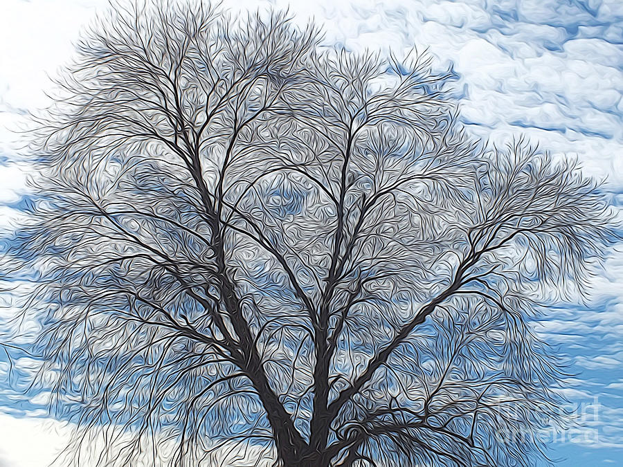 Abstract Tree - Blue Sky Photograph by Scott Cameron