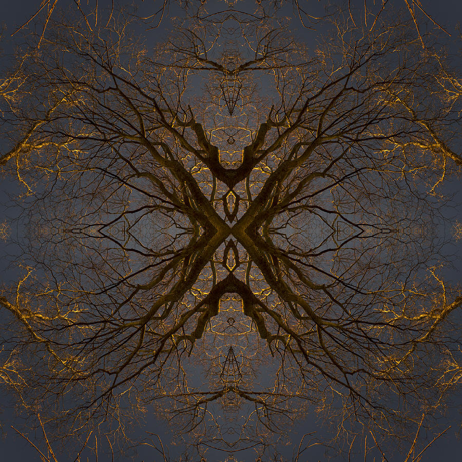 Abstract Tree Digital Art