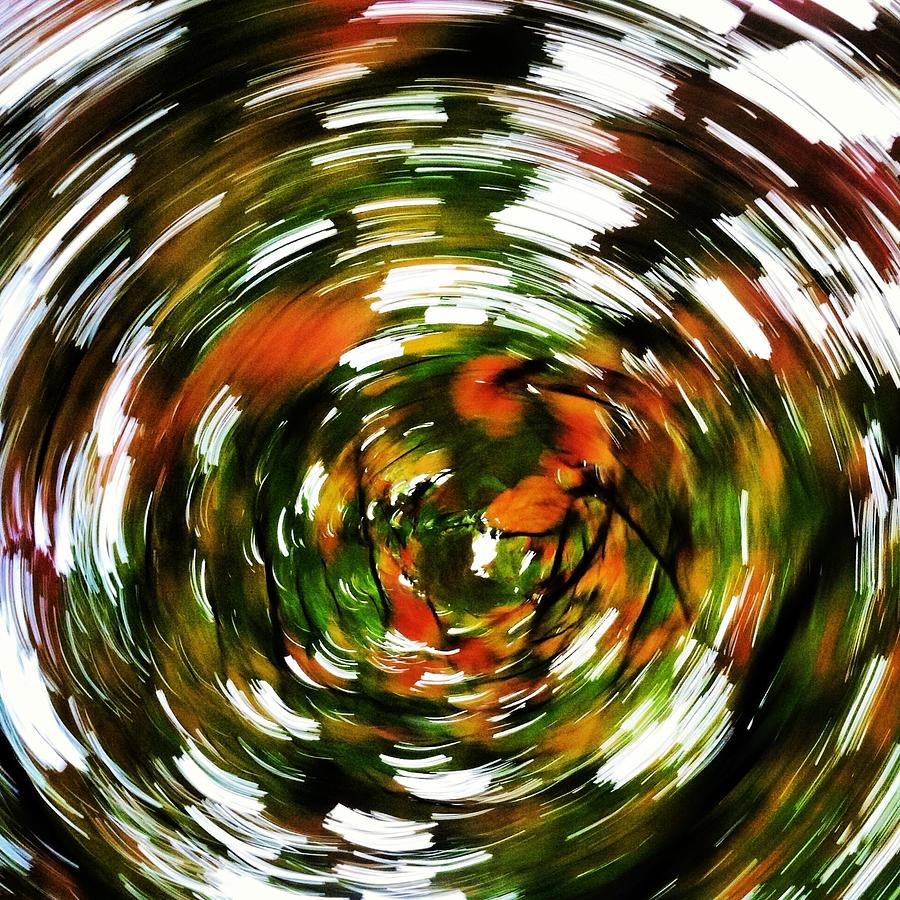 Abstract Trees Photograph by Evan Olf | Fine Art America