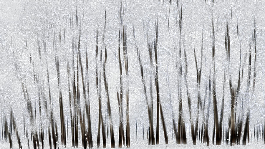Abstract Trees With Motion Blur Painting by Ron Harris