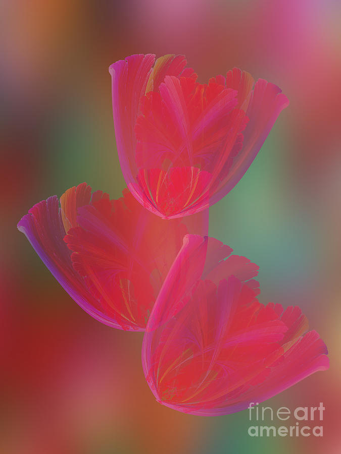Abstract Tulips Digital Art by Klara Acel