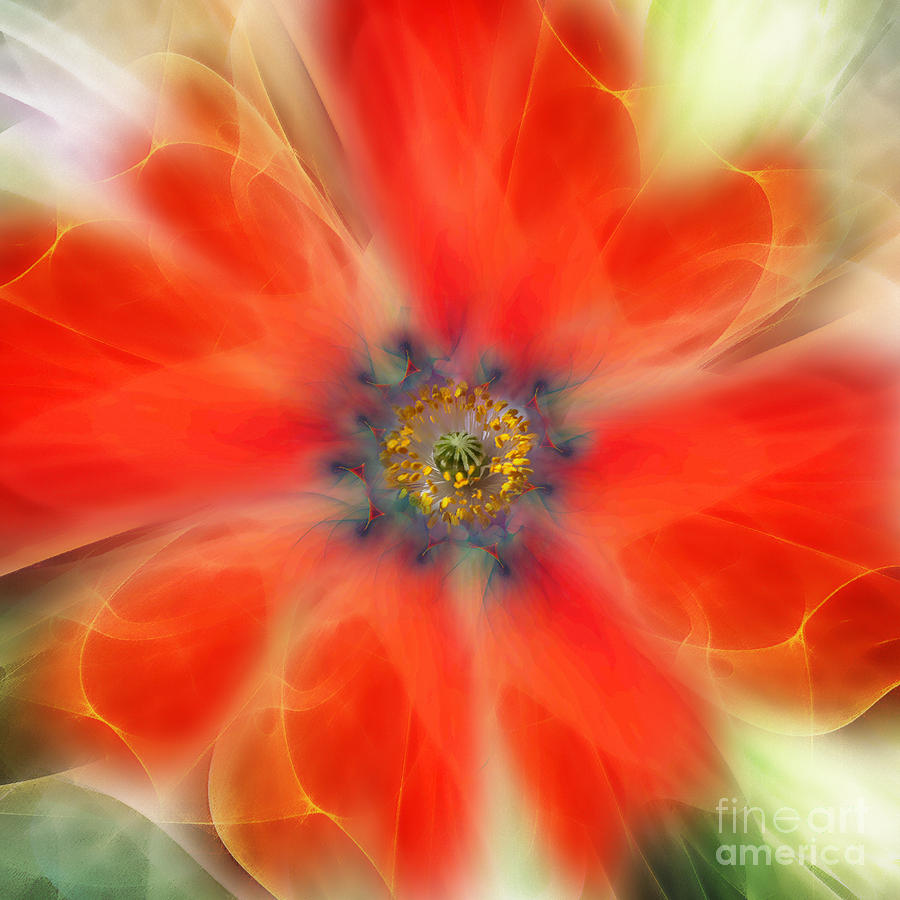 Abstract Veil Flower Digital Art by Klara Acel