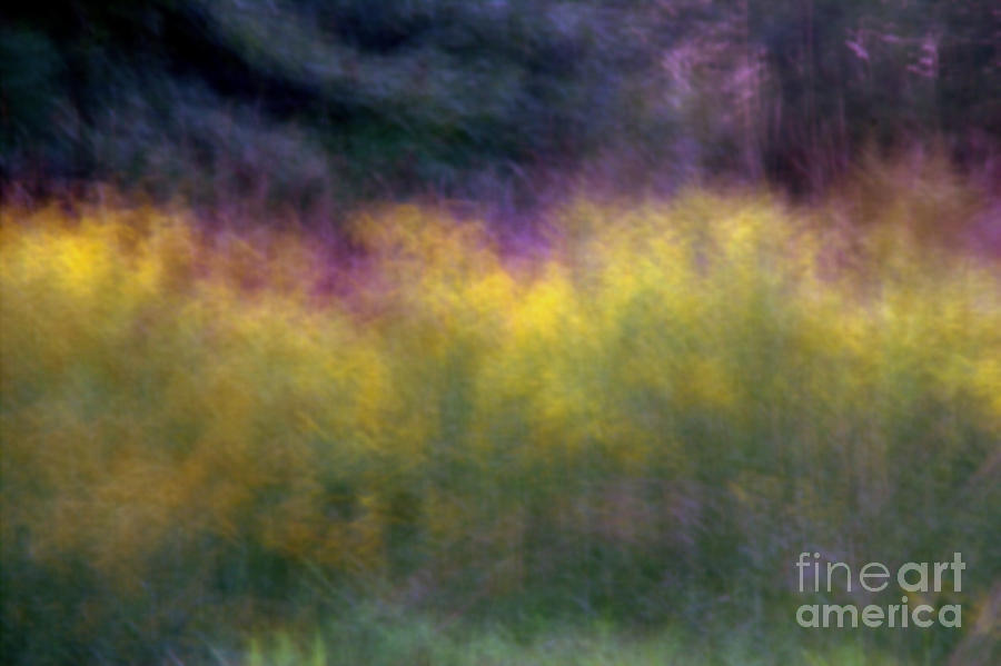 Abstract VIII Goldenrod Photograph by A K Dayton