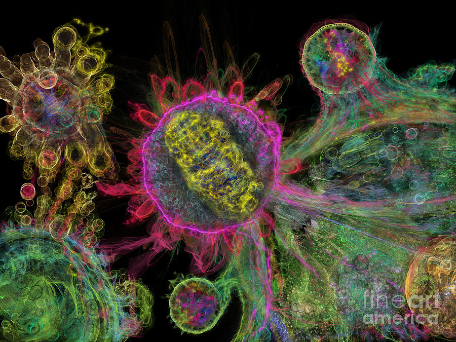 Abstract Virus Budding Glow 1 Digital Art by Russell Kightley