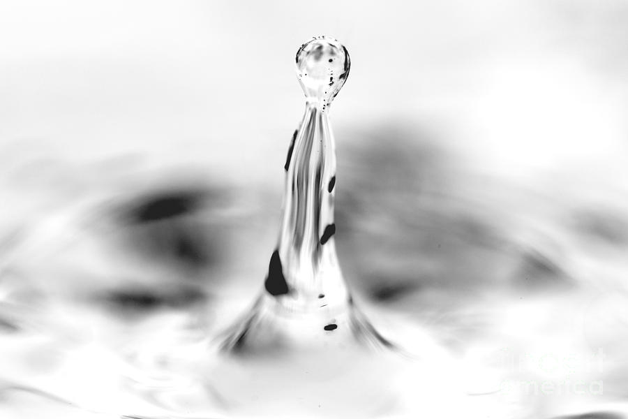 Abstract water drop Photograph by Paul Cowan