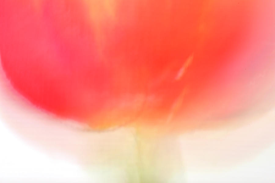 Abstract Watercolour Photograph by Kathy Collins