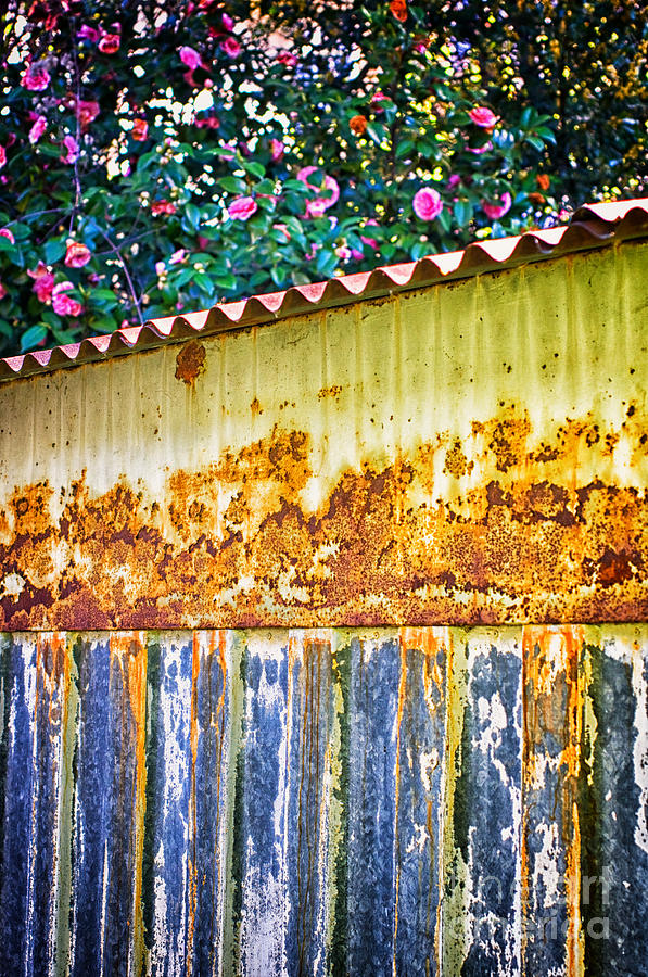 Abstract weathered metal cabin detail Photograph by Silvia Ganora