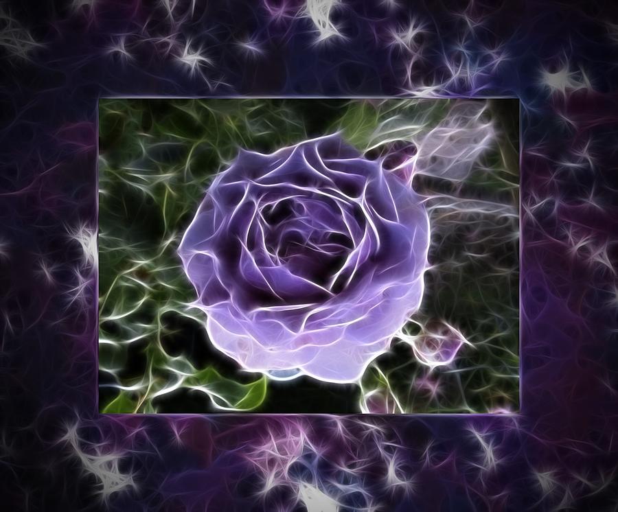 Abstract Window Violet Rose Digital Painting Painting