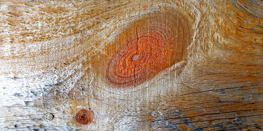 Abstract Woodgrain Upclose 3 Photograph by Duane McCullough