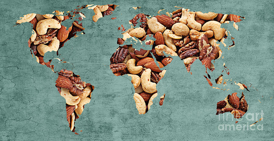 Abstract World Map - Mixed Nuts - Snack - Nut Hut Digital Art by Andee Design