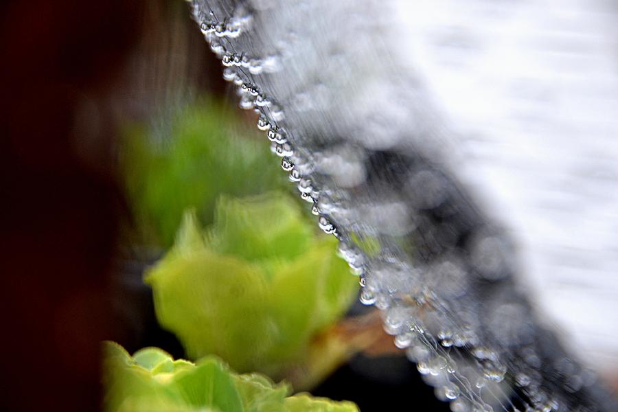 Water Photograph - Abstract03 by Gerald Greenwood Water Photograph - Abstract03 by Gerald Greenwood