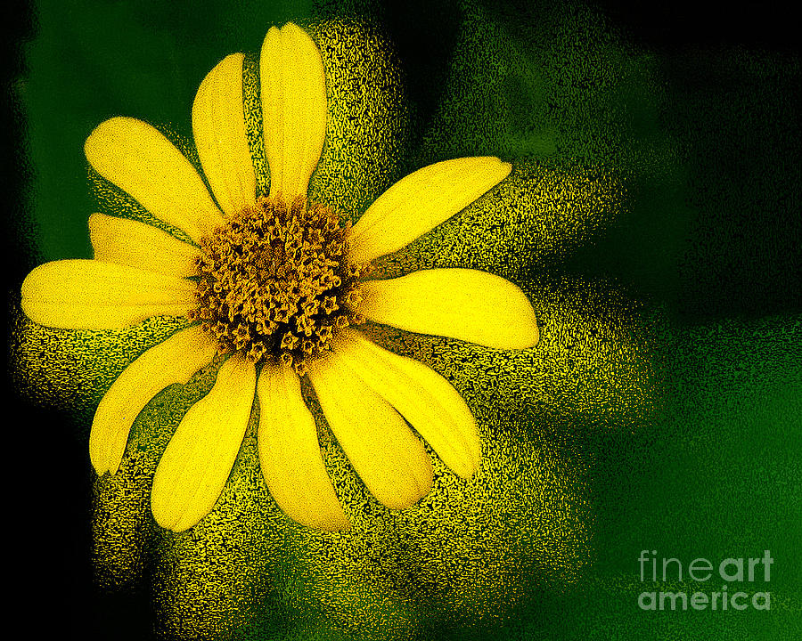 Abstracted Flower Photograph by Michael Arend