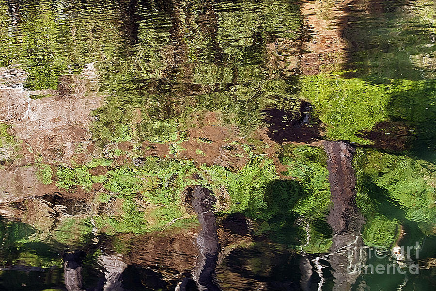 Abstracted Reflection Photograph by Kate Brown