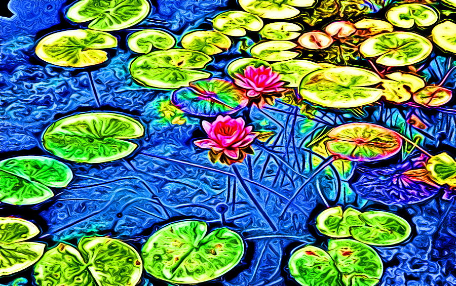 Abstracted Water Lilies Photograph