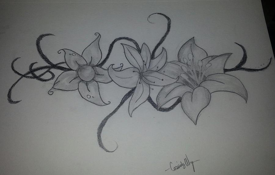 Abundance Drawing by Cassidy Wagner - Fine Art America