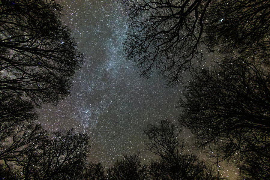 Abundance Of Stars In The Night Sky Photograph by John Short