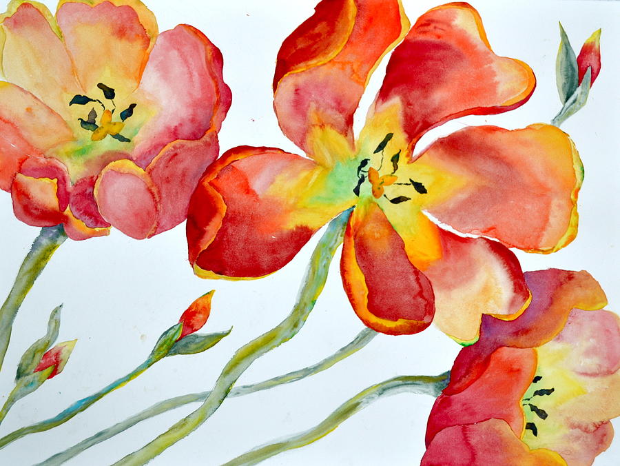 Flower Painting - Abundancia de Luz by Beverley Harper Tinsley