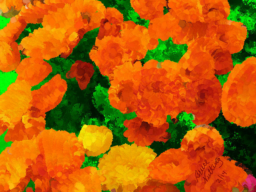 Abundant Orange Flowers Painting by Bruce Nutting