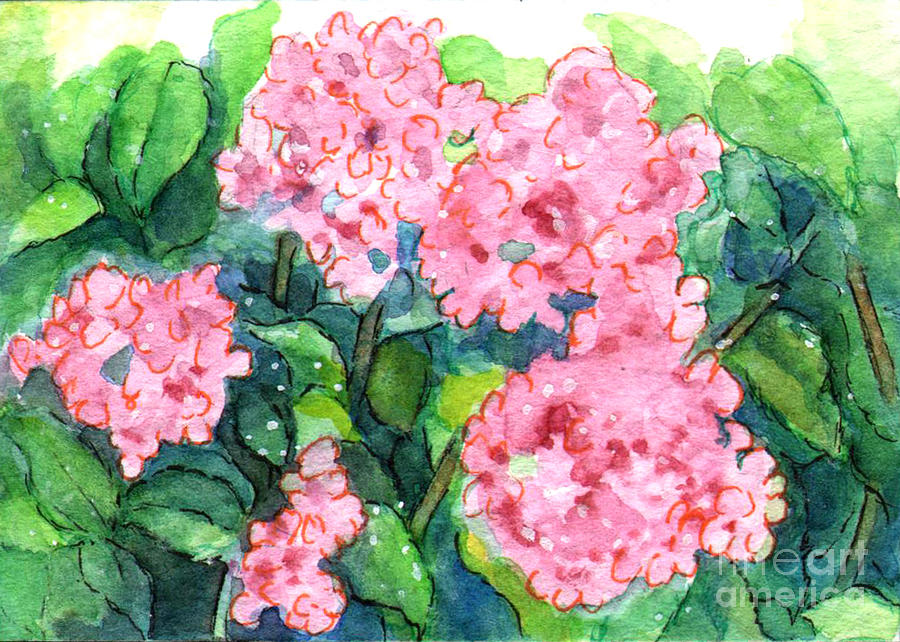 Flower Painting - Ac326 Pink Flowers by Kirohan Art