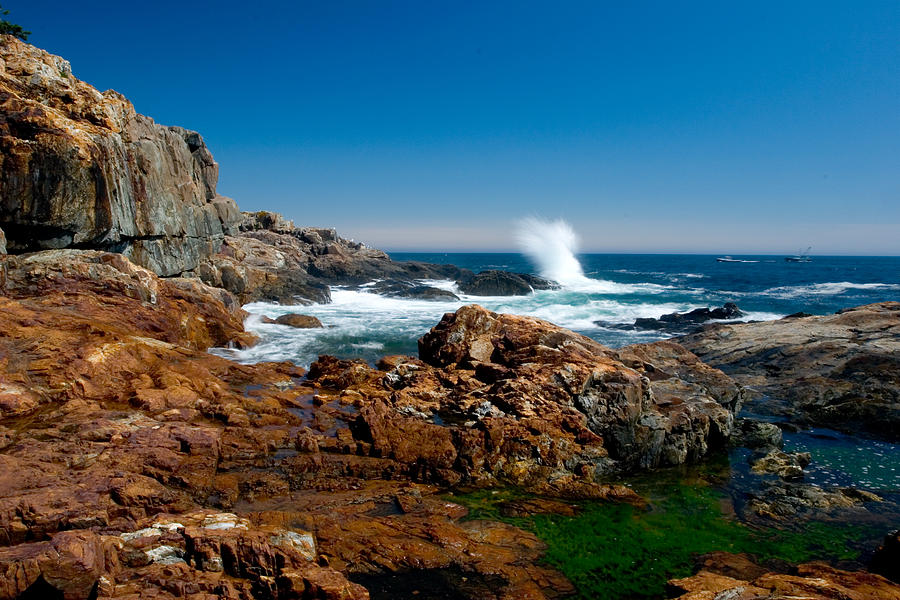 Acadia Coast at Great Head 6771 Photograph by Brent L Ander