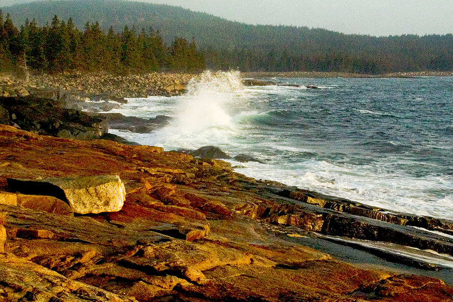 Acadia Coast at Schoodic Point 0258 Photograph by Brent L Ander