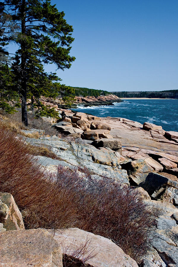 Acadia Coast Overlooking Thunder Hole 2759 Photograph by Brent L Ander