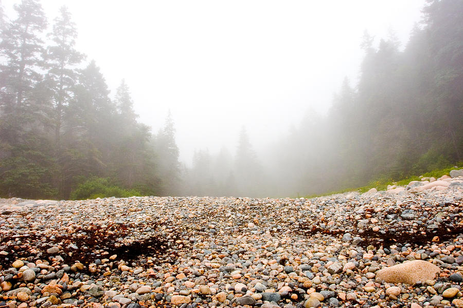Acadia Fog at Hunters Beach Photograph by Brent L Ander