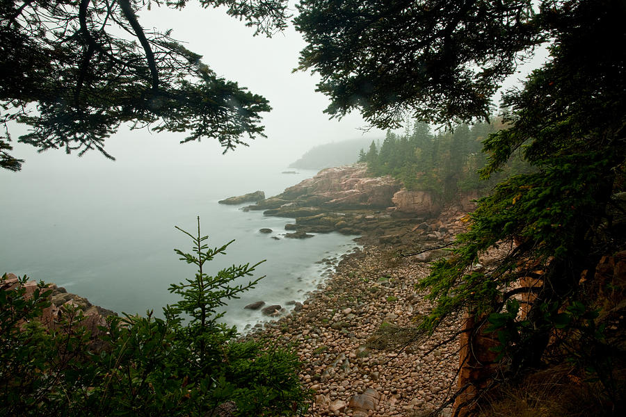 Acadia Fog at Monument Cove 4335 Photograph by Brent L Ander