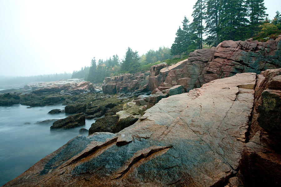 Acadia Fog at Thunder Hole 4325 Photograph by Brent L Ander