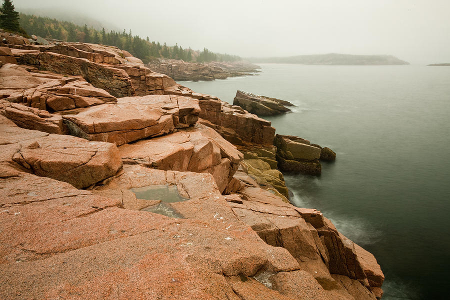 Acadia Fog near Monument Cove 4335 Photograph by Brent L Ander