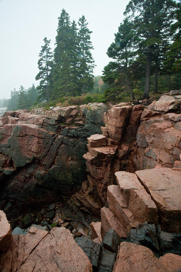 Acadia Fog near Monument Cove 4336 Photograph by Brent L Ander