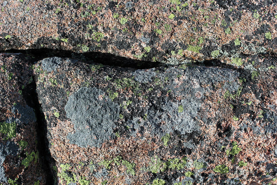 Acadia Granite 10 Photograph by Mary Bedy