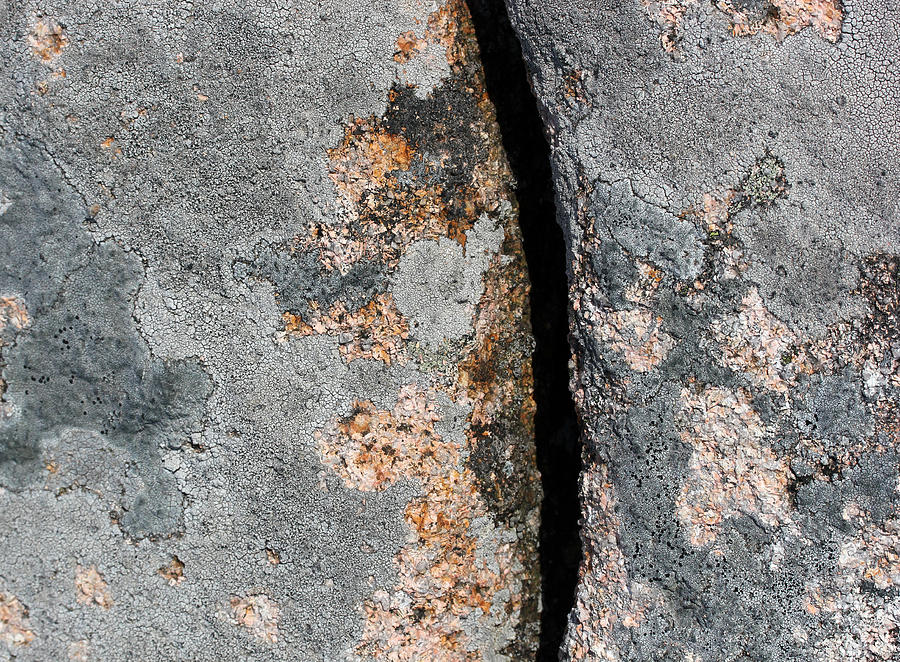 Acadia Granite 20 Photograph by Mary Bedy