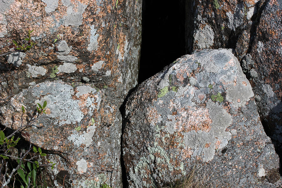 Acadia Granite 21 Photograph by Mary Bedy