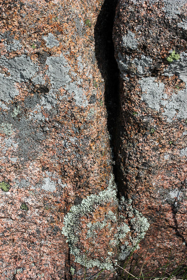 Acadia National Park Photograph - Acadia Granite 26 by Mary Bedy
