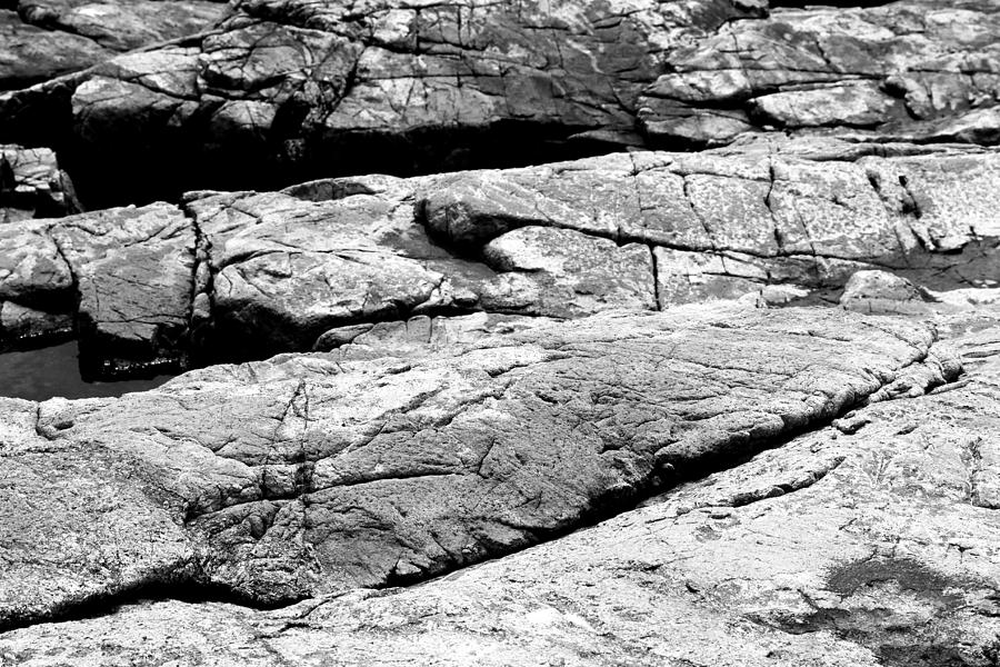 Acadia Granite 4 Black and White Photograph by Mary Bedy
