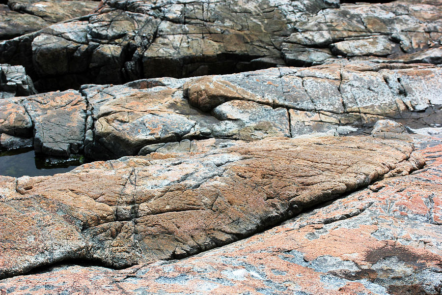 Acadia Granite 4 Photograph by Mary Bedy