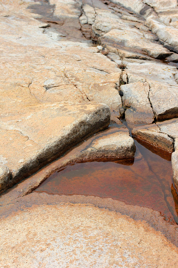 Acadia Granite 6 Photograph by Mary Bedy