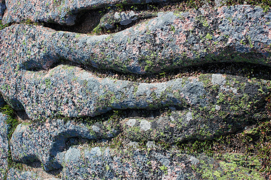 Acadia Granite 8 Photograph by Mary Bedy