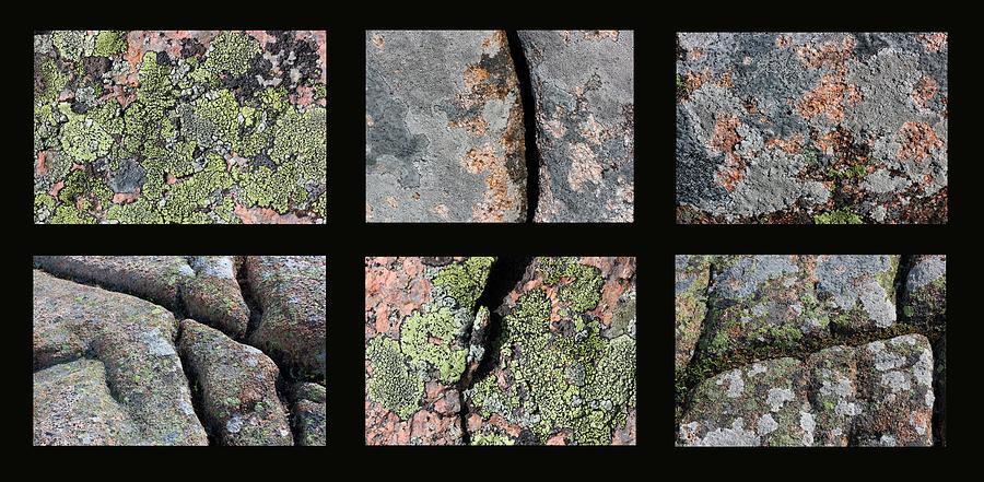Acadia Granite Collage 2 Photograph by Mary Bedy
