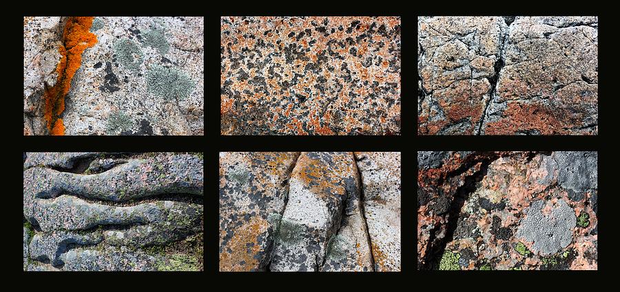 Acadia Granite Collage Photograph by Mary Bedy