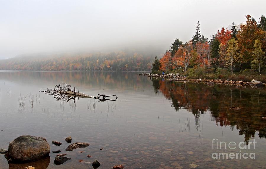 Acadia in the Fog Photograph by Karin Pinkham