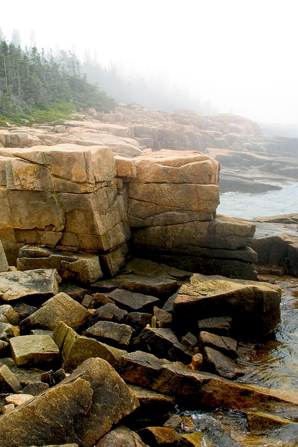 Acadia National Park Photograph - Acadia Morning 7647 by Brent L Ander