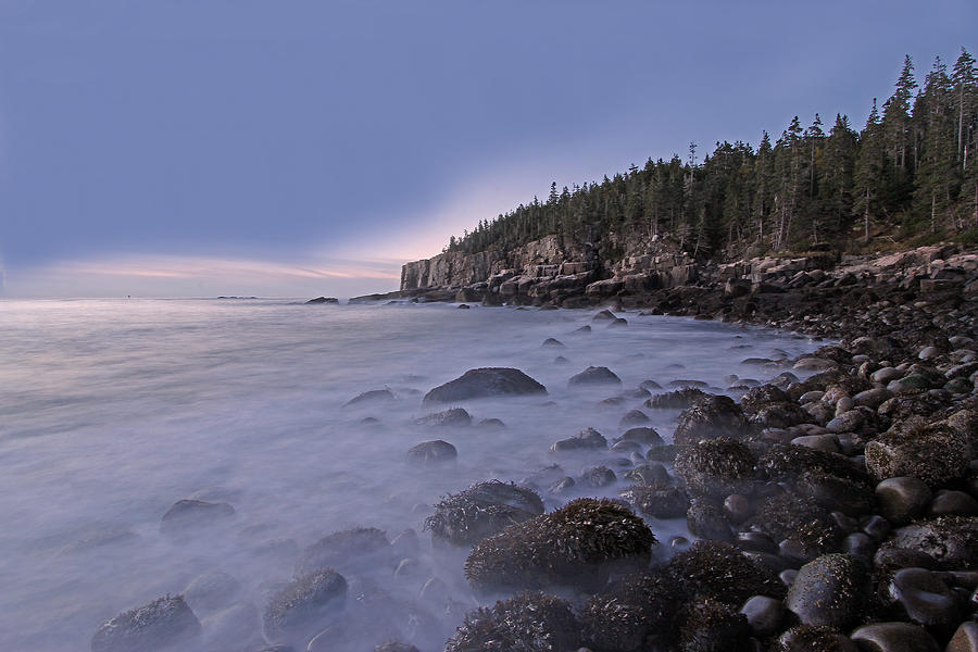 Acadia Morning Mist Photograph by Juergen Roth