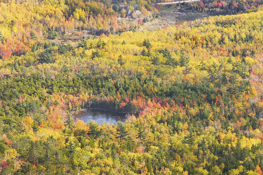 Acadia National Park - Mount Desert Island -Fall Foliage- Maine Photograph by Keith Webber Jr