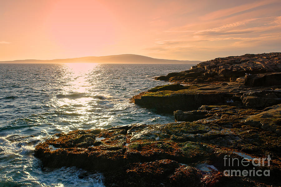 Acadia National Park Photograph by Olivier Le Queinec