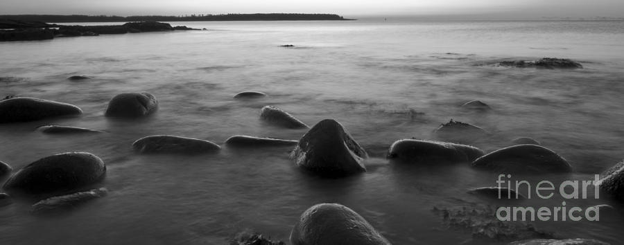Acadia National Park Shoreline Sunrise Wakeup Black and White Photograph by Glenn Gordon