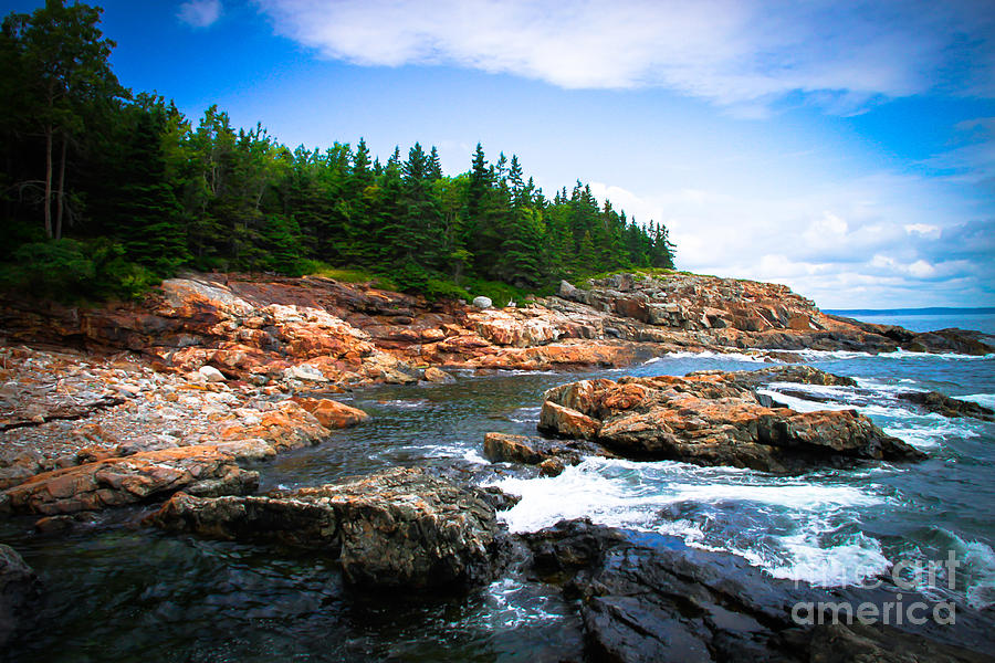 Acadia National Park Photograph - Acadia National Park by Steve Clough
