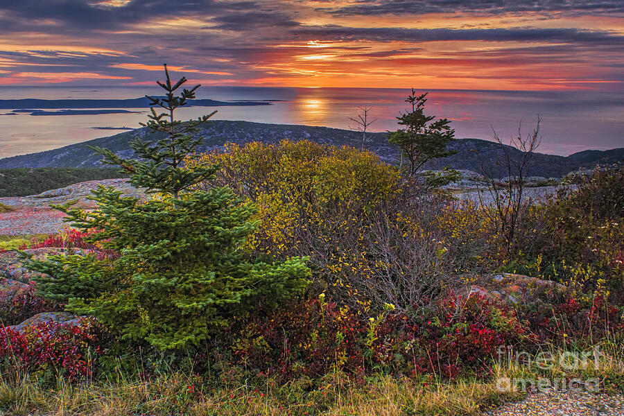 Acadia National Park Sunrise Photograph by Priscilla Burgers